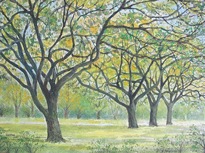 Watercolour painting by John Wang - Gentle Giants