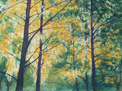 Watercolour painting by John Wang - Sunlit Canopy
